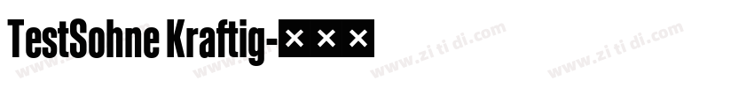 TestSohne Kraftig字体转换